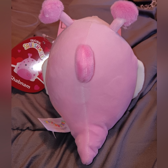 Squishmallows Valentines 2024 Release Shabnam the Sea Slug 5" FTM - Picture 2 of 5